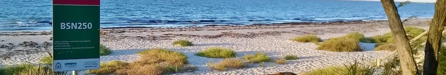 Sandy beach with scattered rocks and grass patches, a sign with BSN250, and a tree on the right beside a calm sea.