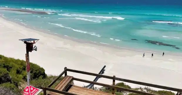 Shark Warning System upgrade in time for summer