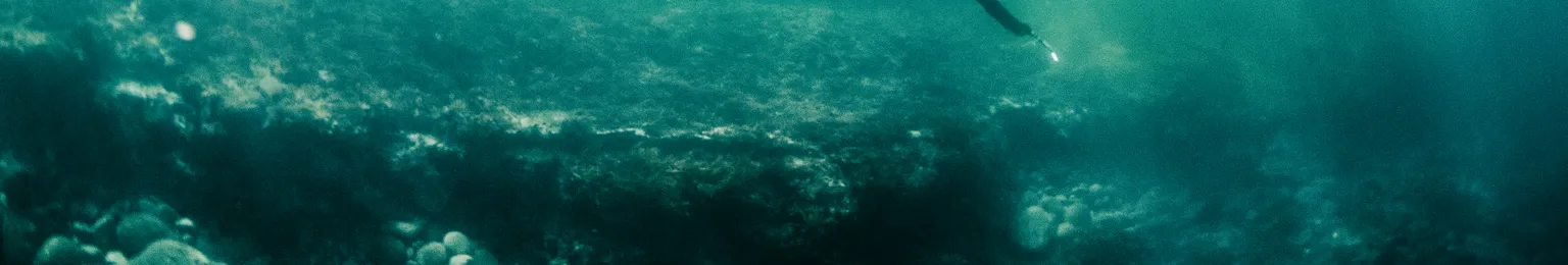 Spearfisher swims over a reef, underwater with sun shining through surface.