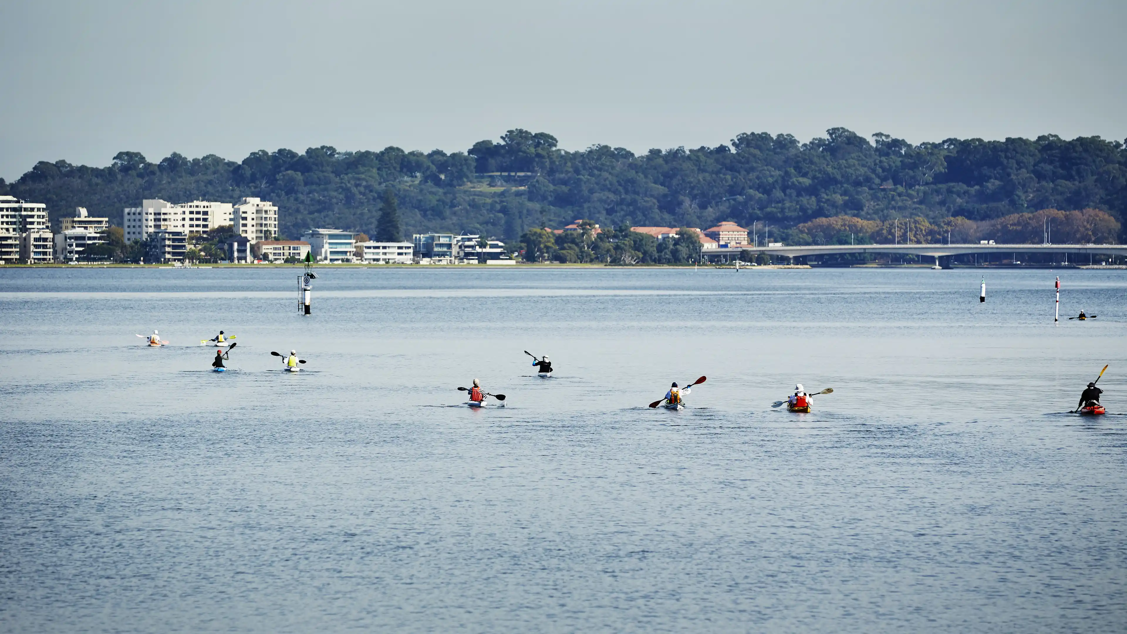 People kayaking on a wide river with lush green trees and buildings in the background on a clear day.
