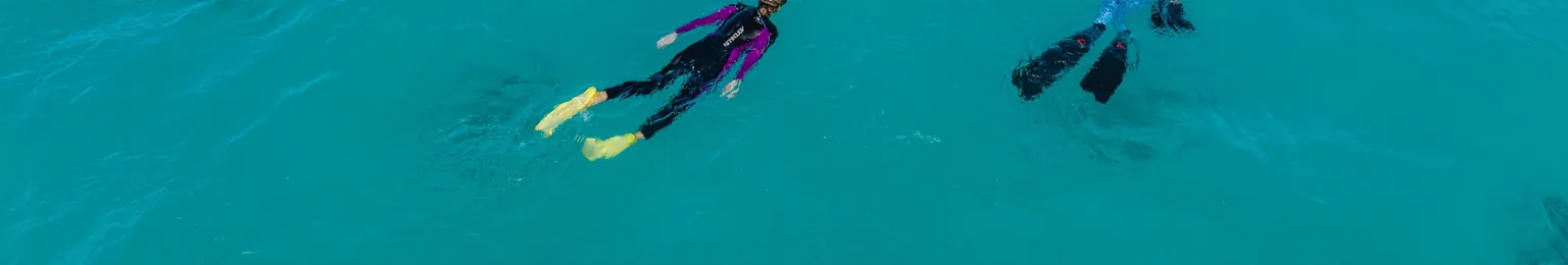 Five snorkelers in wetsuits swim in clear turquoise ocean waters, with flippers visible, exploring beneath the surface near a dark coral formation.