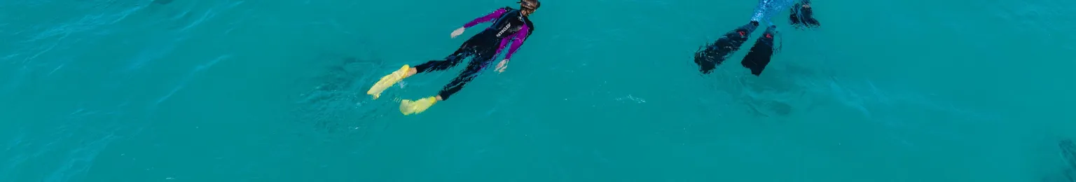 Five snorkelers in wetsuits swim in clear turquoise ocean waters, with flippers visible, exploring beneath the surface near a dark coral formation.