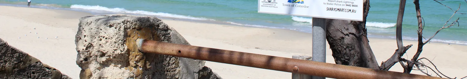 Beach scene with a sign reading "Cottesloe Beach CT23," clear blue sea, yellow buoys, and trees in the foreground.