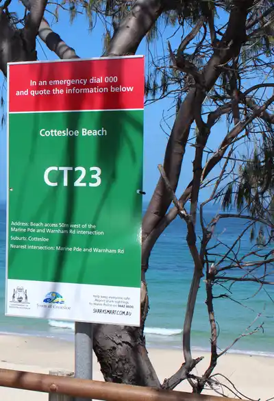 Beach scene with a sign reading "Cottesloe Beach CT23," clear blue sea, yellow buoys, and trees in the foreground.