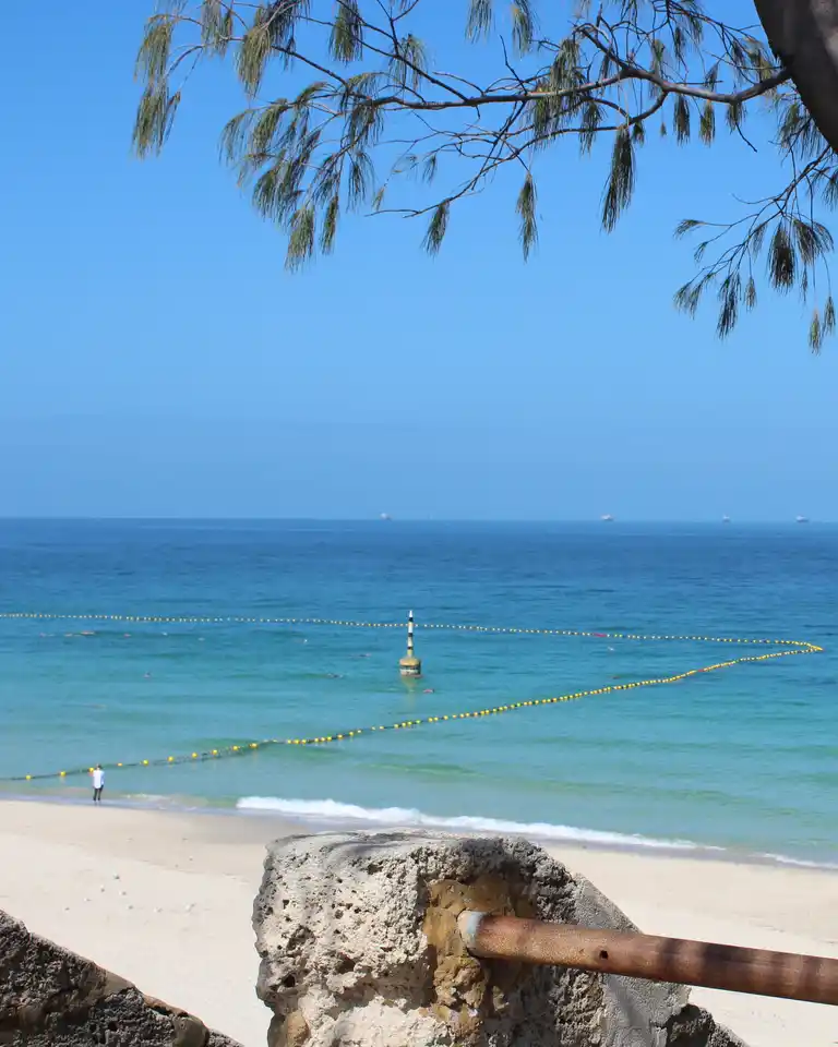 Beach scene with a sign reading "Cottesloe Beach CT23," clear blue sea, yellow buoys, and trees in the foreground.