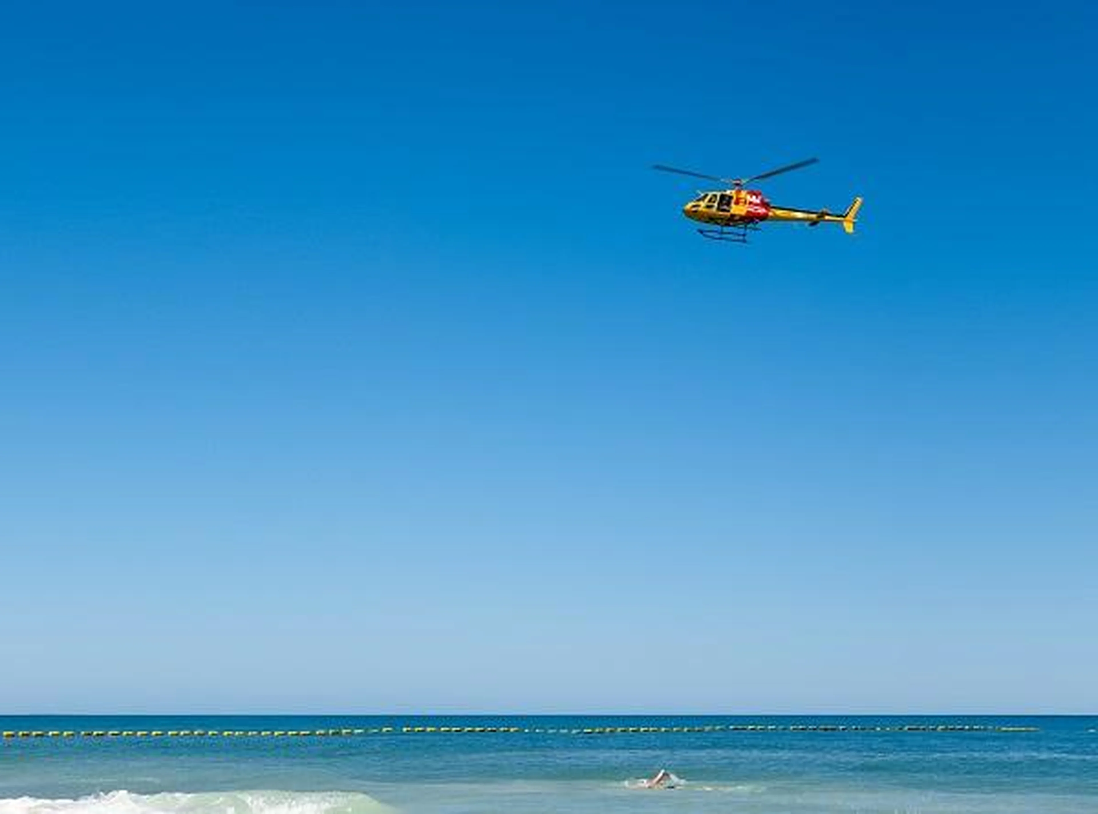 $17.3 million boost for Cook Government Shark Hazard Mitigation