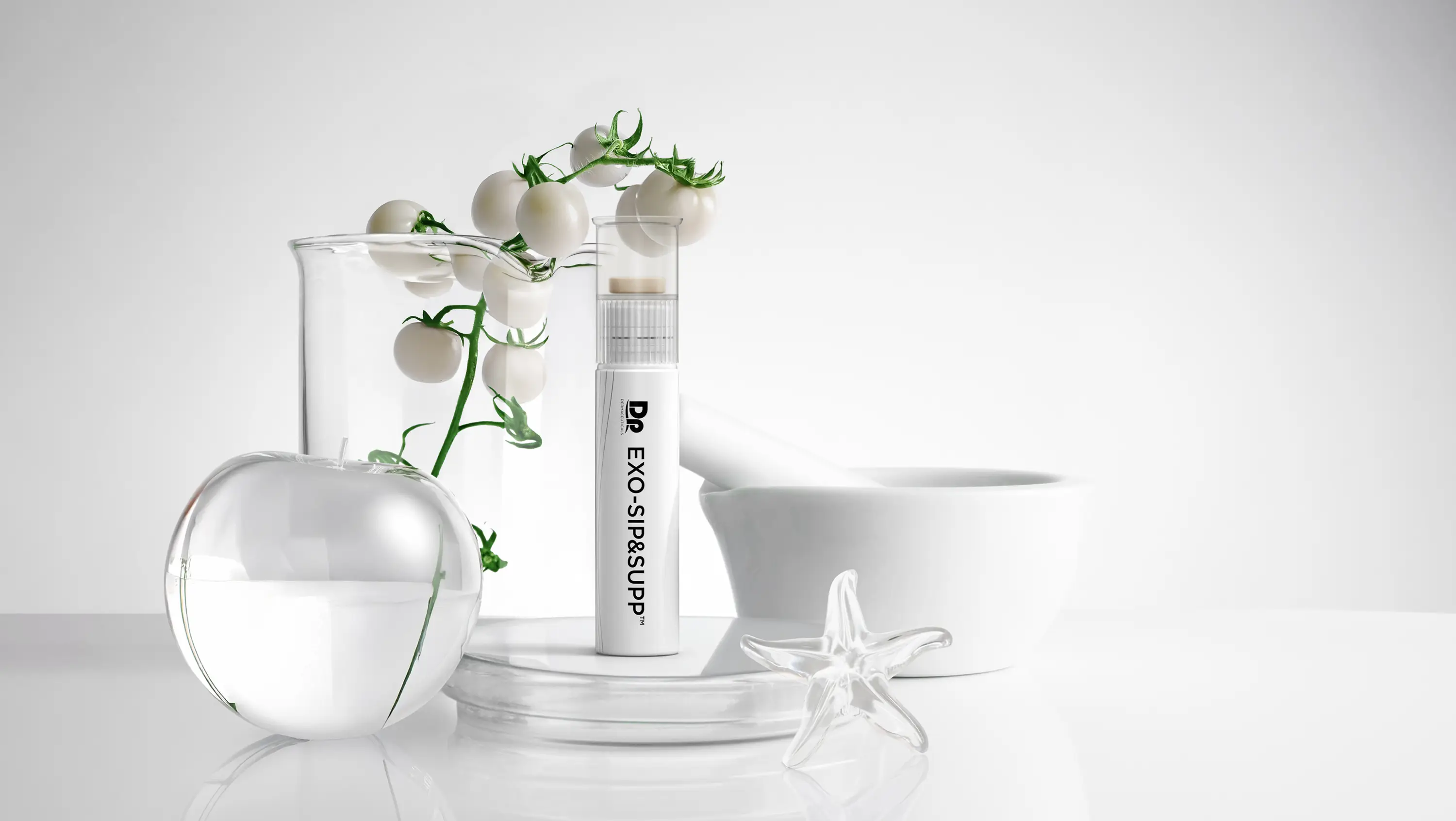 B2B mobile header for EXO-SIP&SUPP