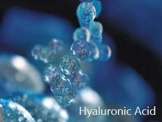Hyaluronic-Acid