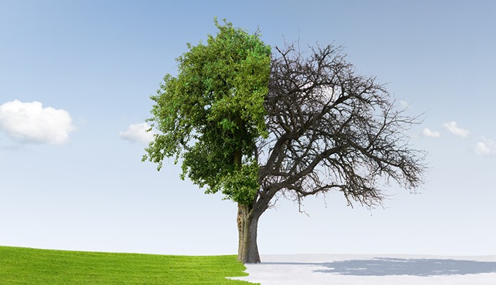 Seasonal Skincare Tips