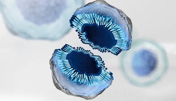 Cont25002-Exo-Grow-Collection-3