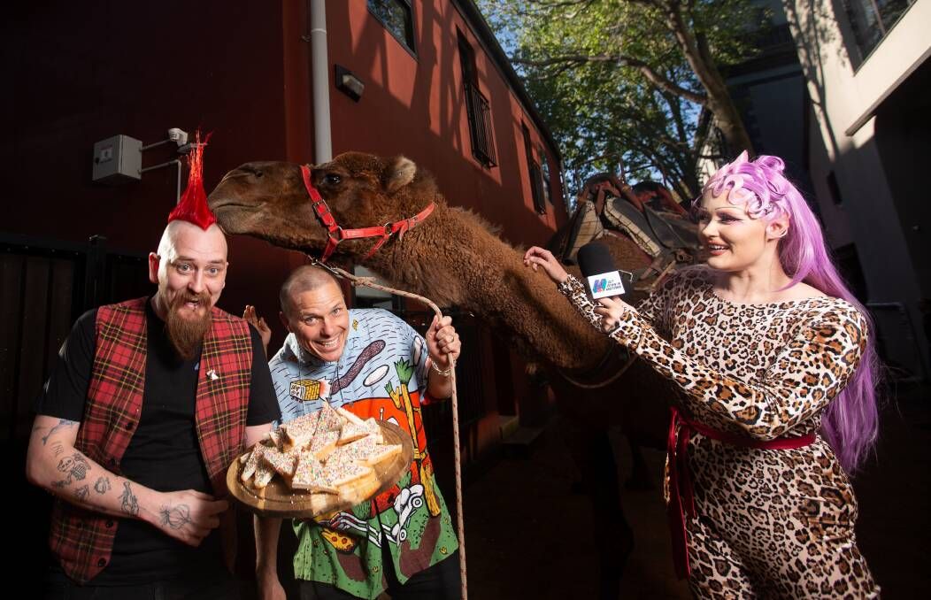 Three people with a camel. One holds a tray of desserts, another smiles, and a third with purple hair holds a microphone.
