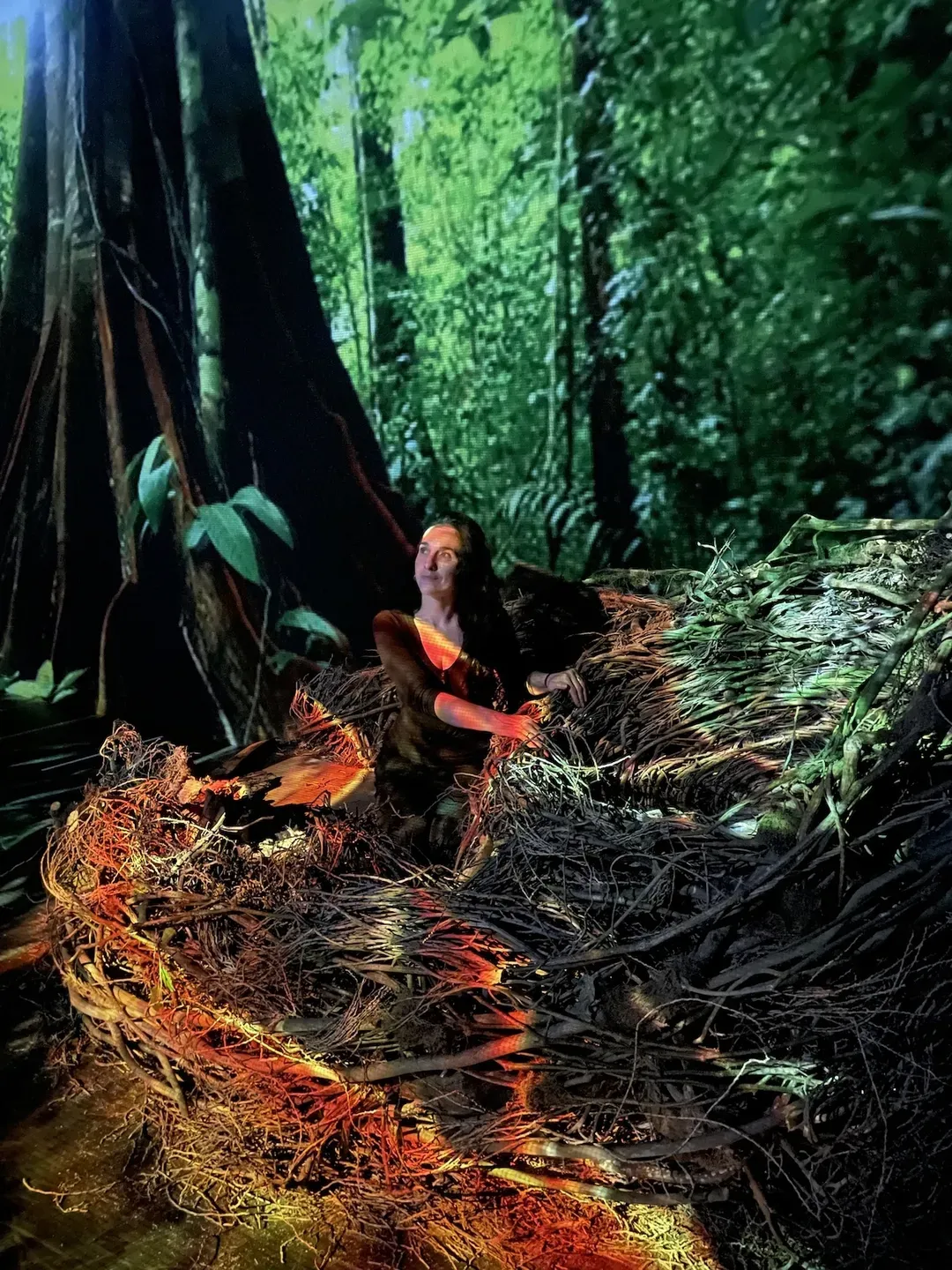A person sits in a large nest surrounded by thick, lush jungle foliage, illuminated by vibrant, colorful lighting.