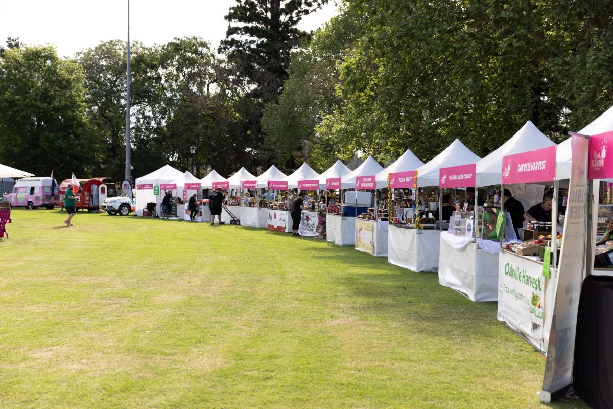 A row of white tents with pink banners at an outdoor market on a grassy field, surrounded by trees under a clear sky.