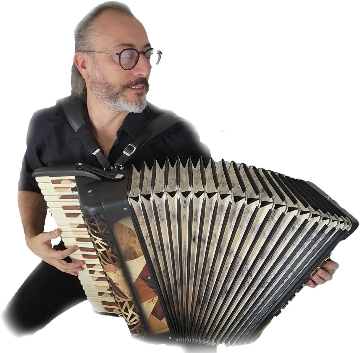Professional Accordionist