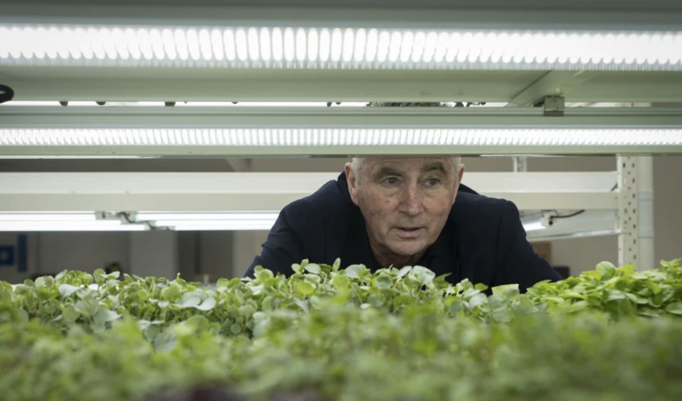 Founder Peter Fox in the hydroponic macrofarm