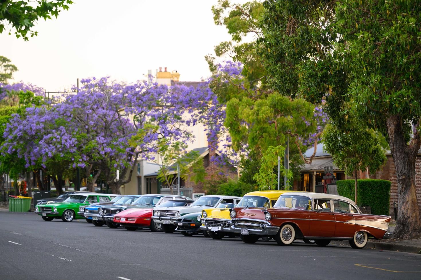 Classic cars parked on a street lined with lush trees and blooming purple flowers under a clear sky.