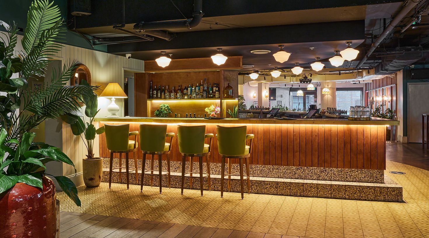 Cozy bar with green barstools, warm lighting, potted plants, and a wooden counter. Shelves with bottles are lit from below.