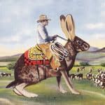 Shady Pines Saloon logo