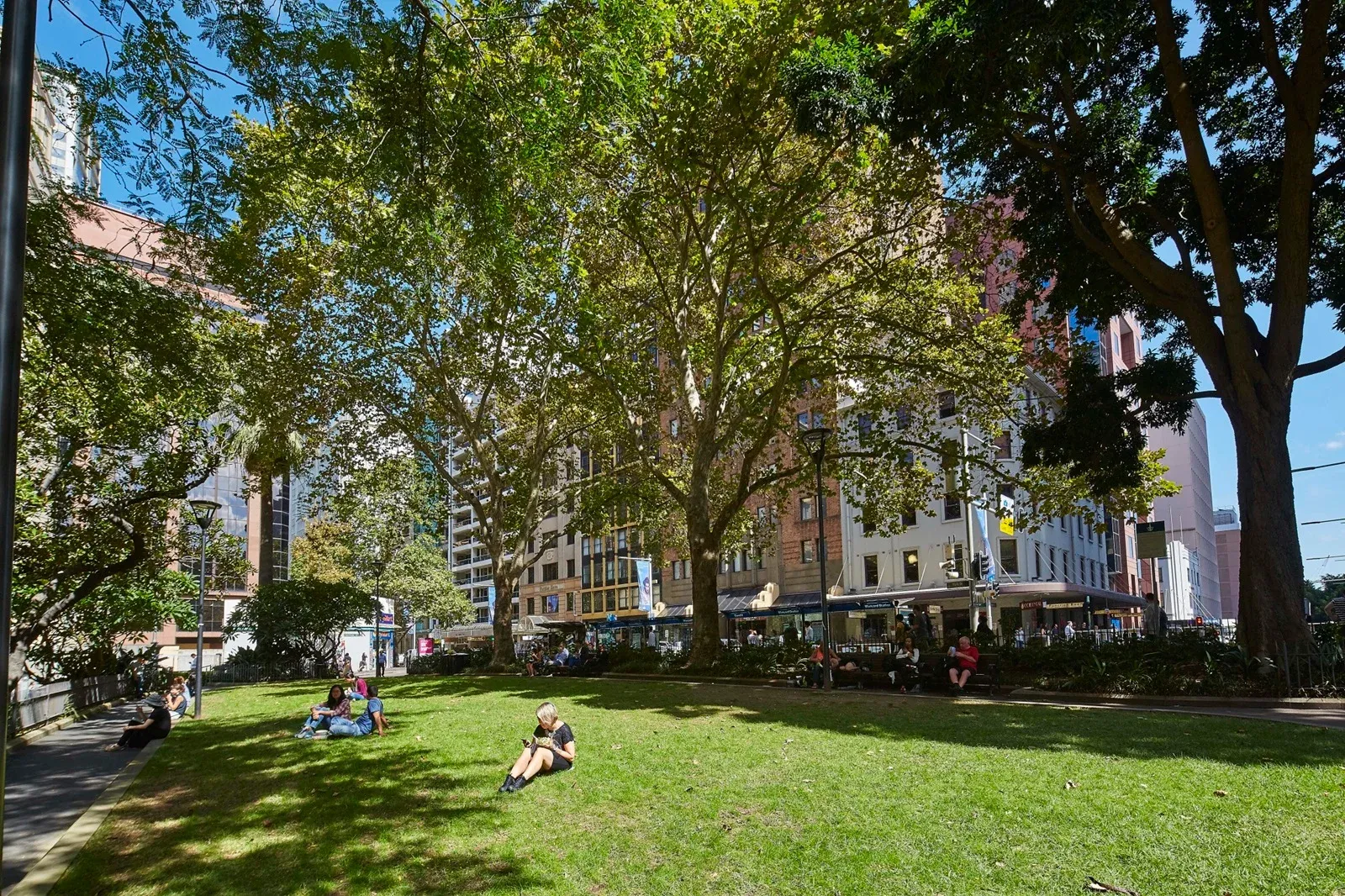 People relaxing on a grassy park lawn under large trees, with buildings in the background on a sunny day.