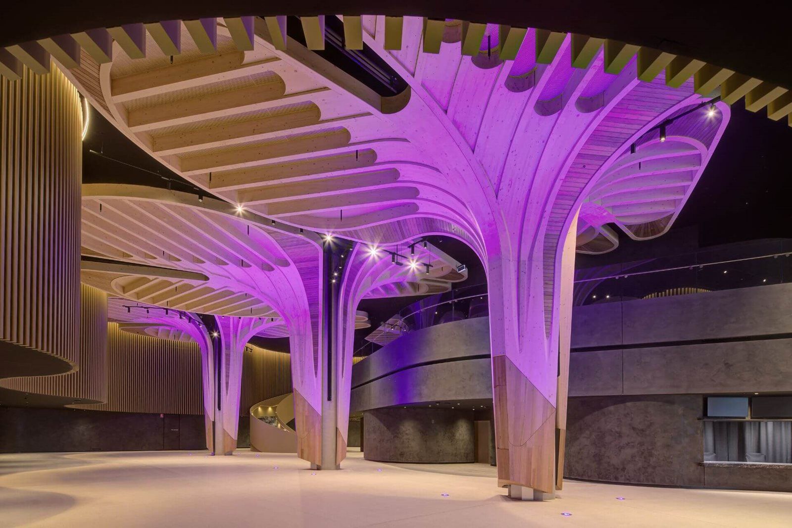 Spacious interior with modern architecture featuring wooden tree-like structures and purple lighting, creating an artistic and futuristic ambiance.