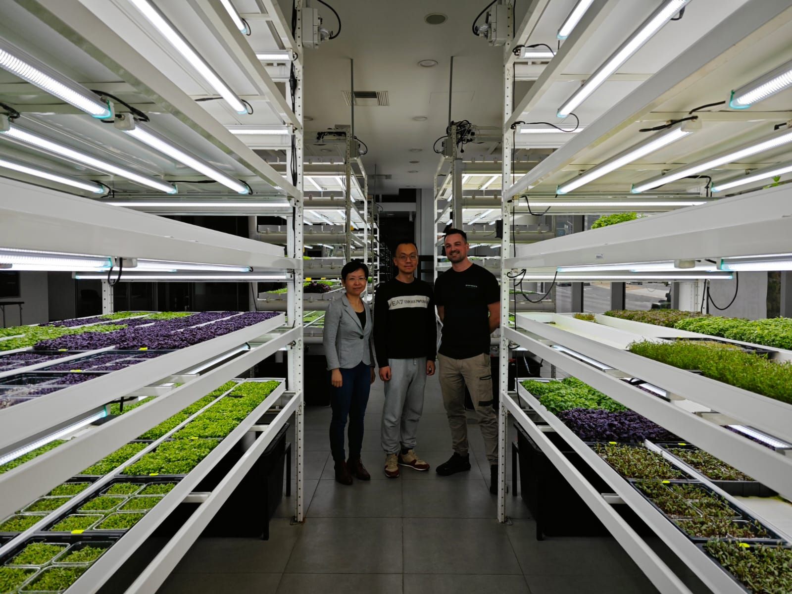 Indoor hydroponic macrofarm for greens