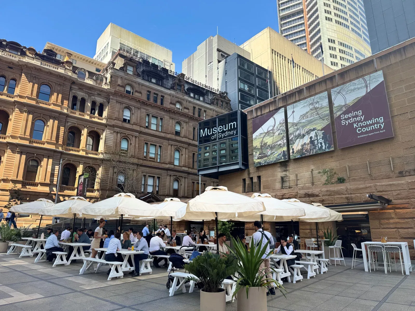 Outdoor cafe seating with white umbrellas in front of the Museum of Sydney. People are sitting and enjoying their time under a clear blue sky.