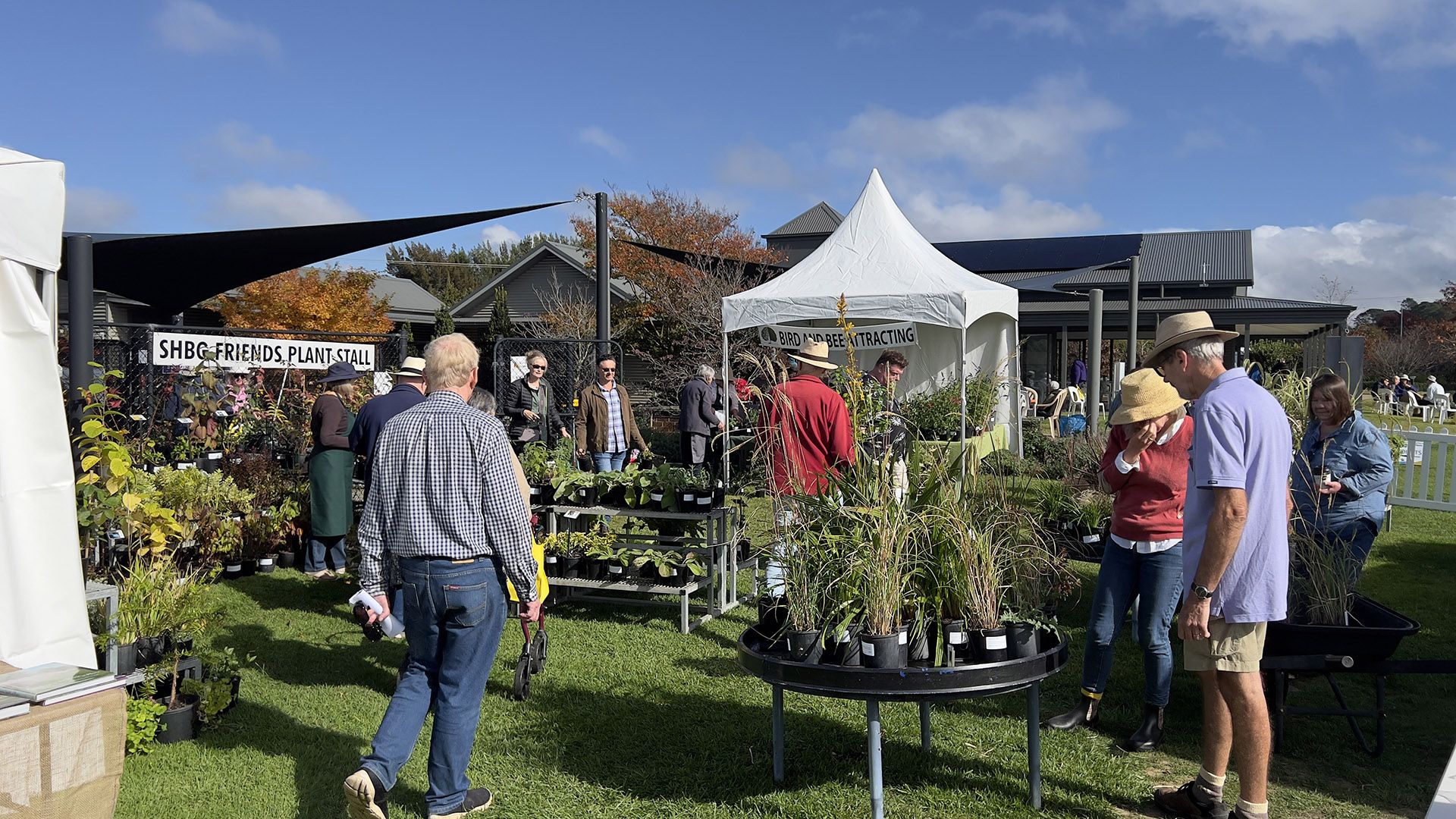 People shopping at the SHBG collector plant sale stalls