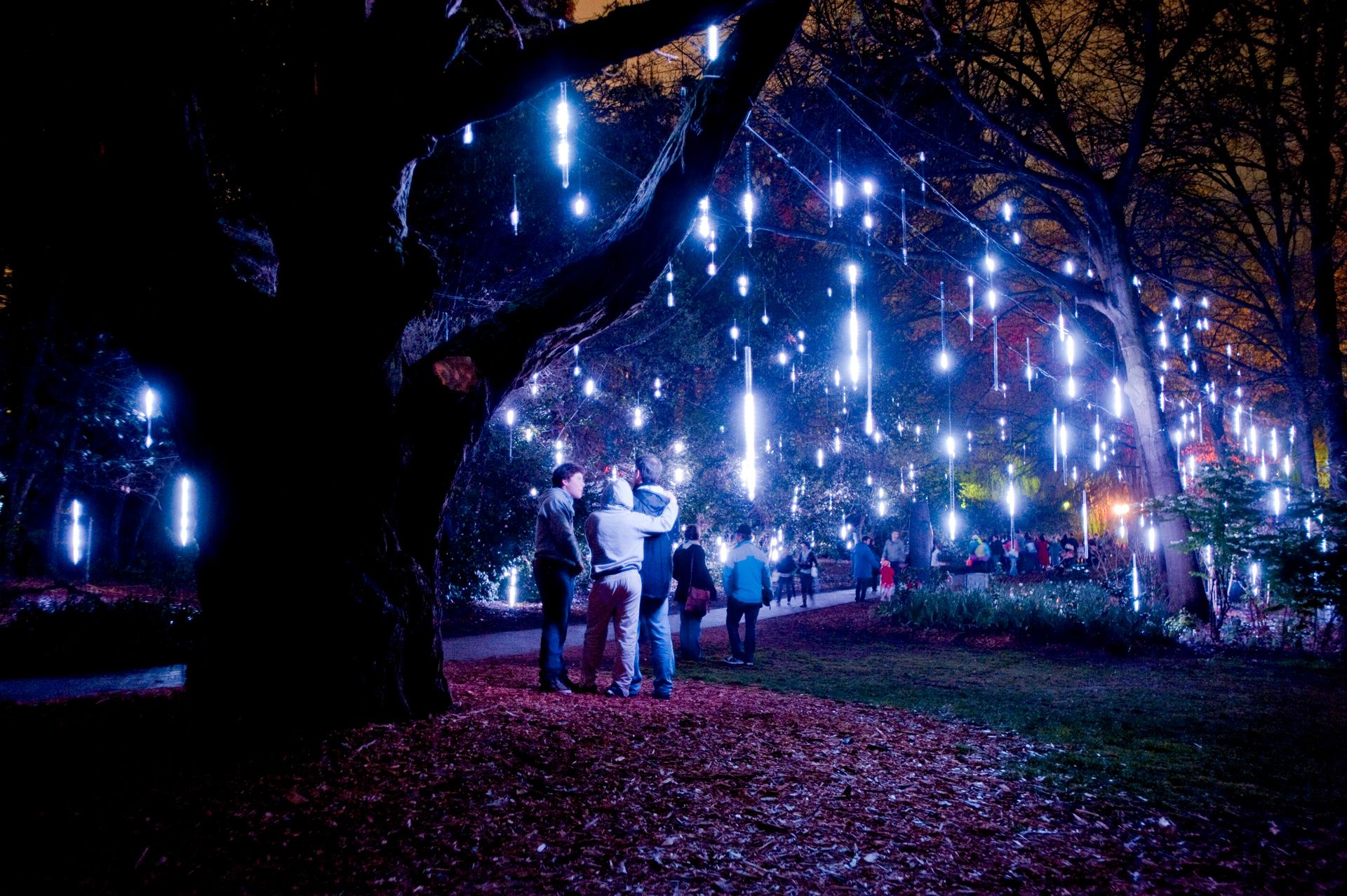 People walk through a canopy of illuminated hanging tubes