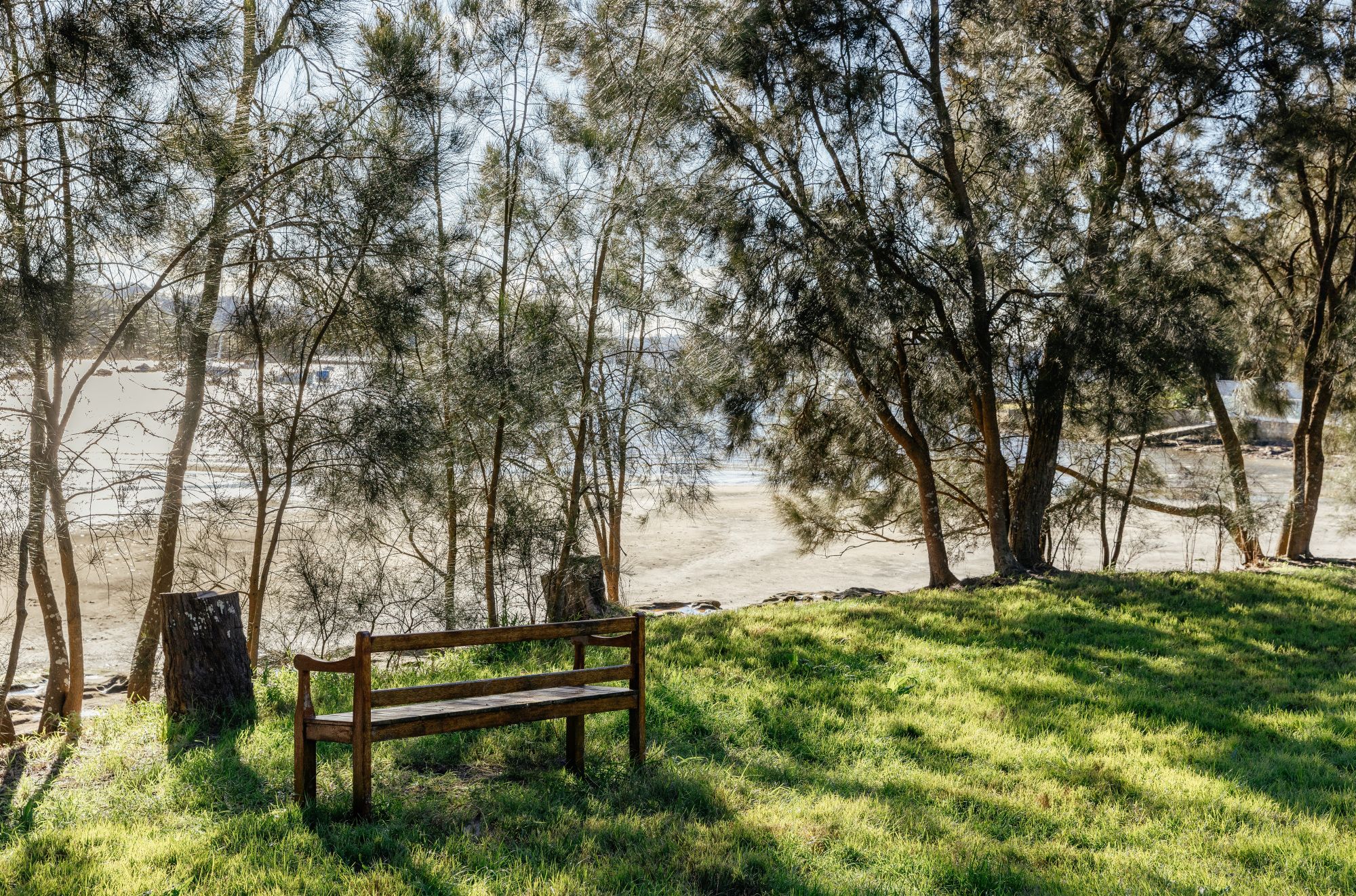 Bench at the Vaucluse beach and harbour