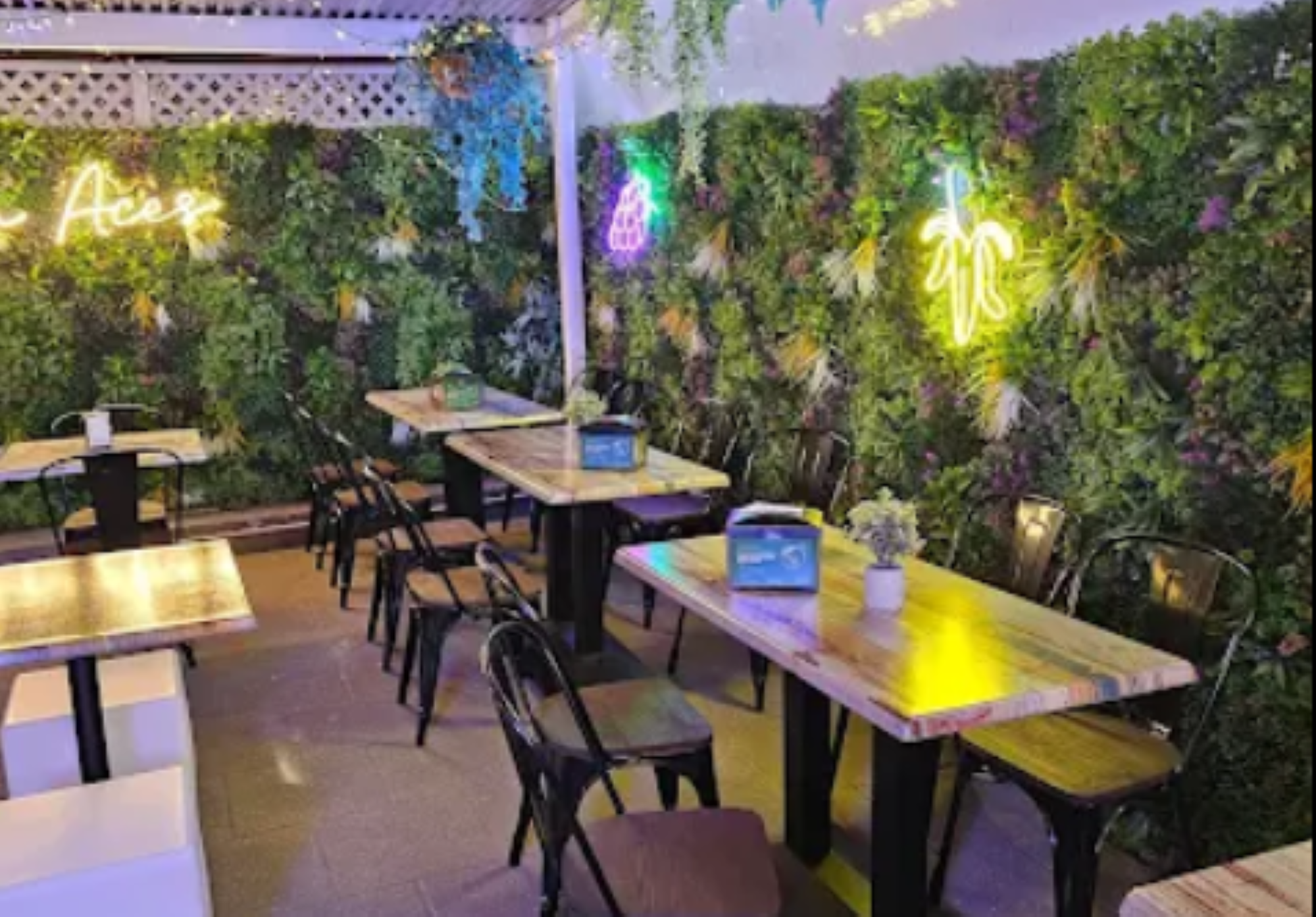 Cosy cafe with wooden tables, black chairs, and neon fruit signs on a lush green wall. Bright, inviting atmosphere.