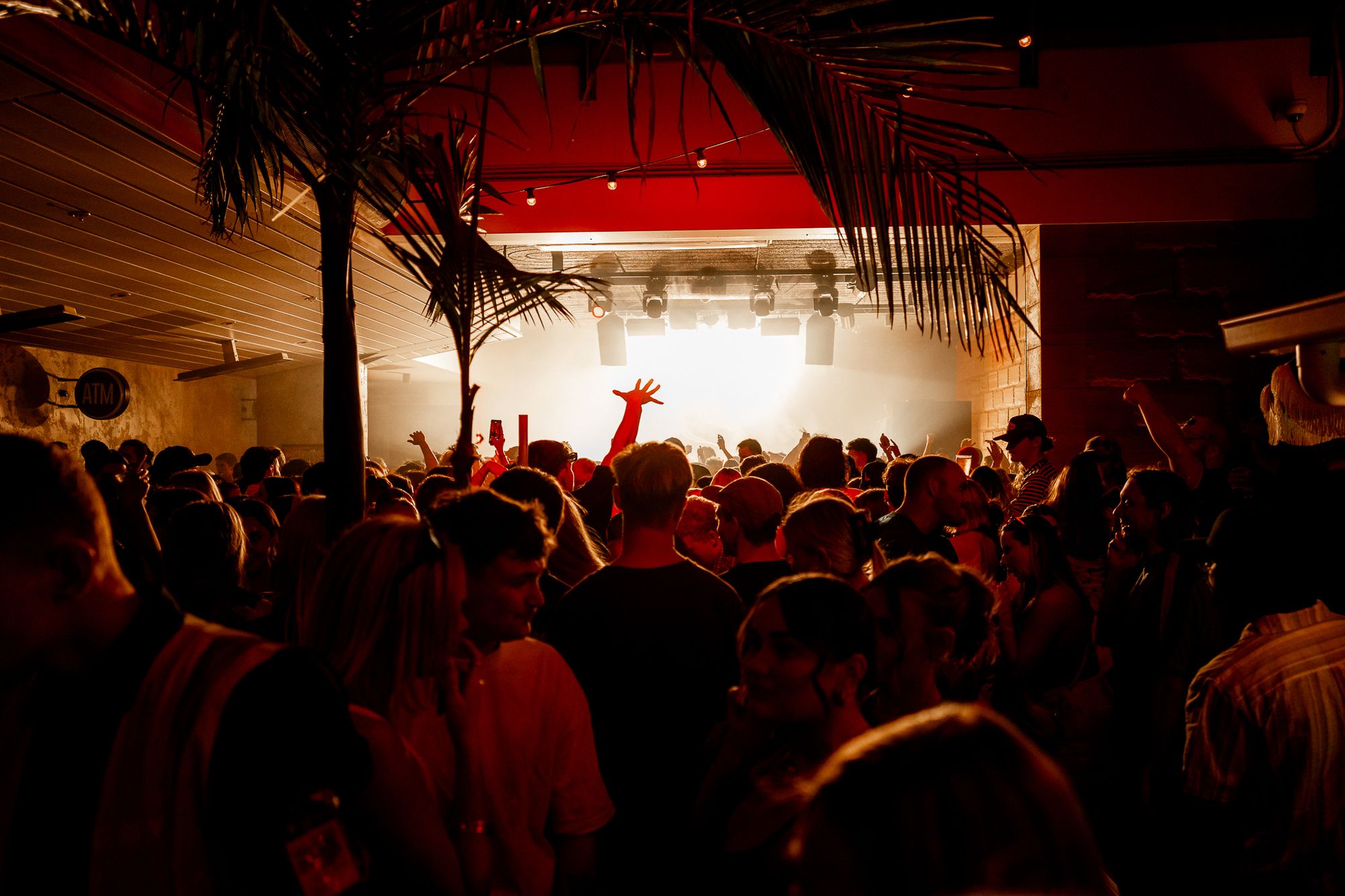 A crowded nightclub with people dancing under dim lighting, silhouetted against a bright stage with spotlights. Palm leaves frame the scene.