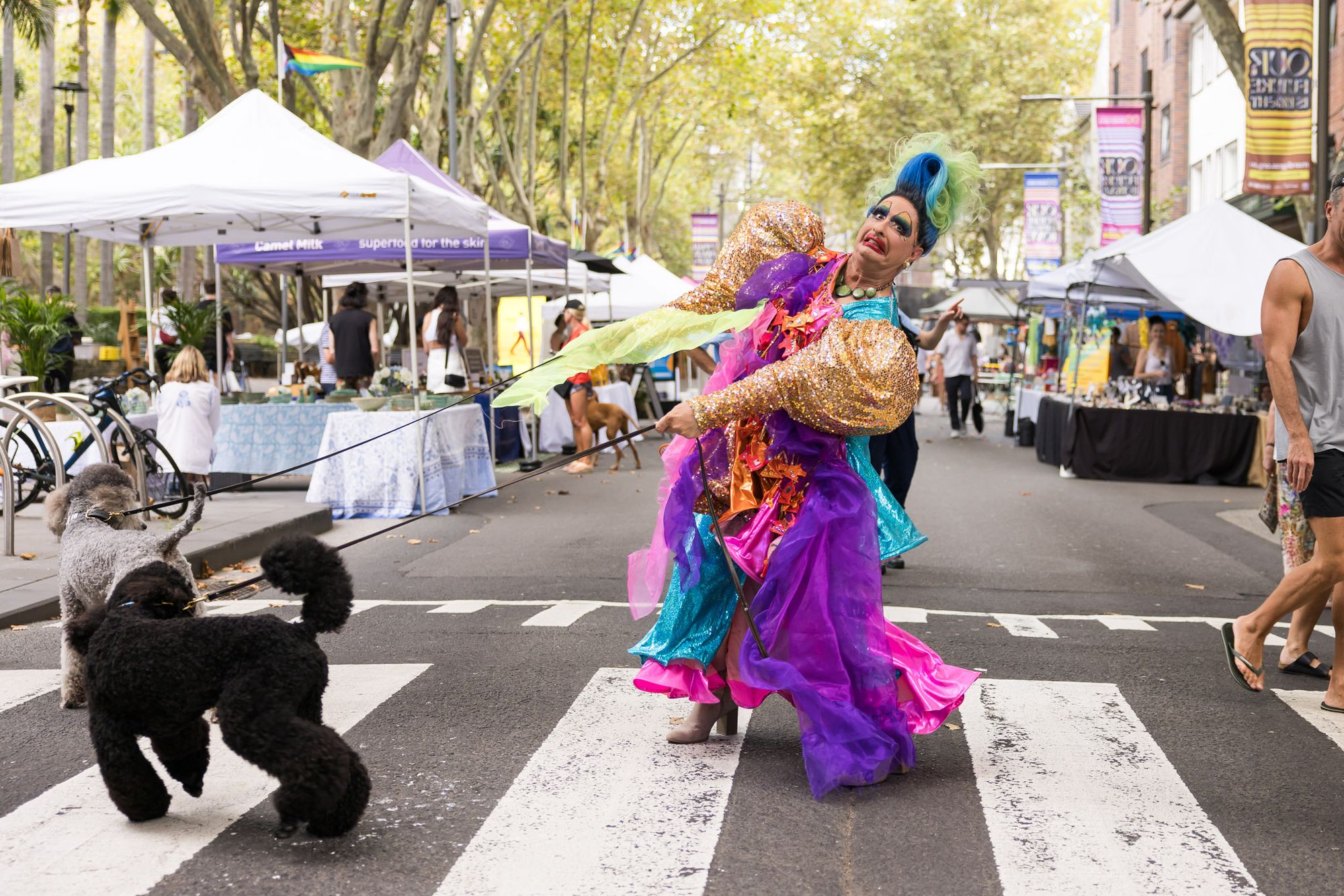 A drag performer walks a black poodle over a pedestrian crossing
