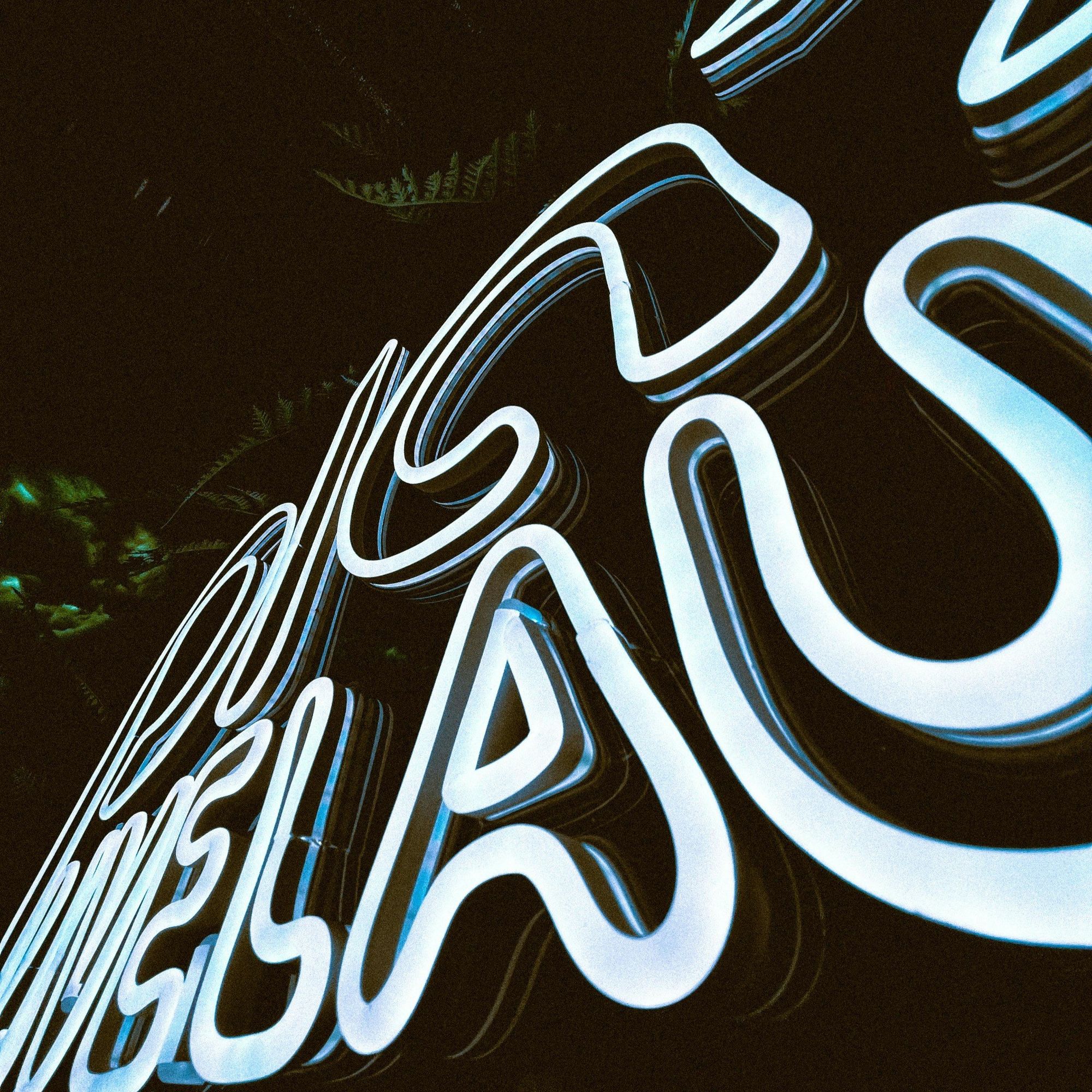 Sydney custom LED neon sign in bright white illumination mounted on clear acrylic for modern commercial signage and retail branding.