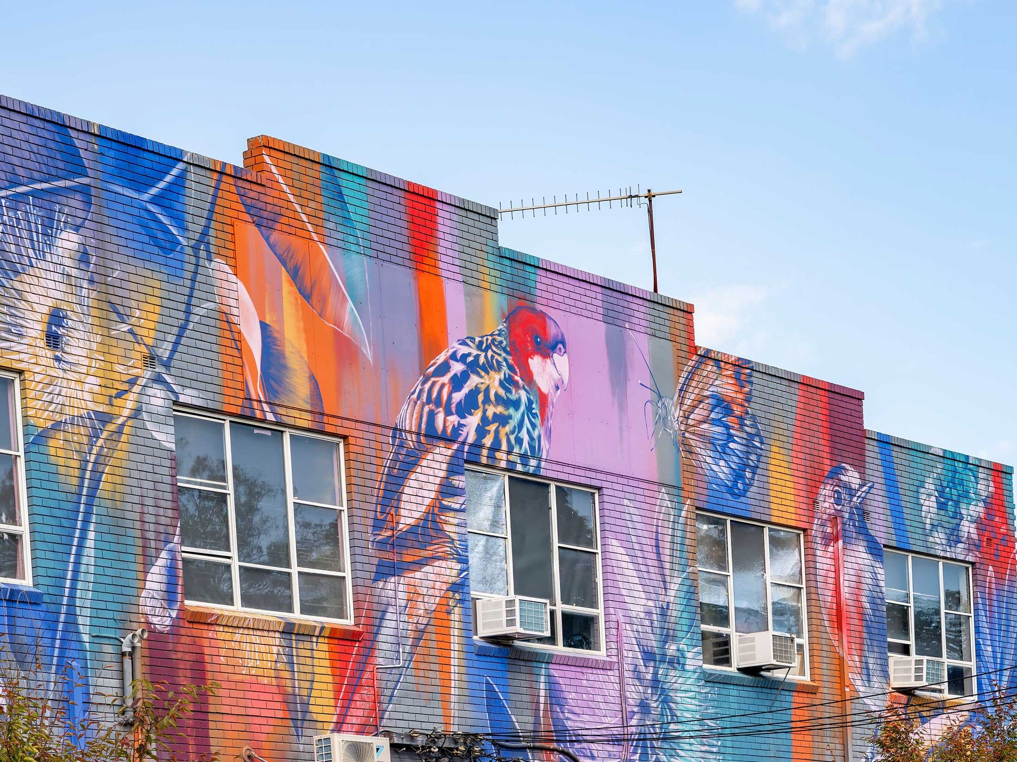 Colourful mural of birds painted on a brick building wall, with three large windows and air conditioning units.