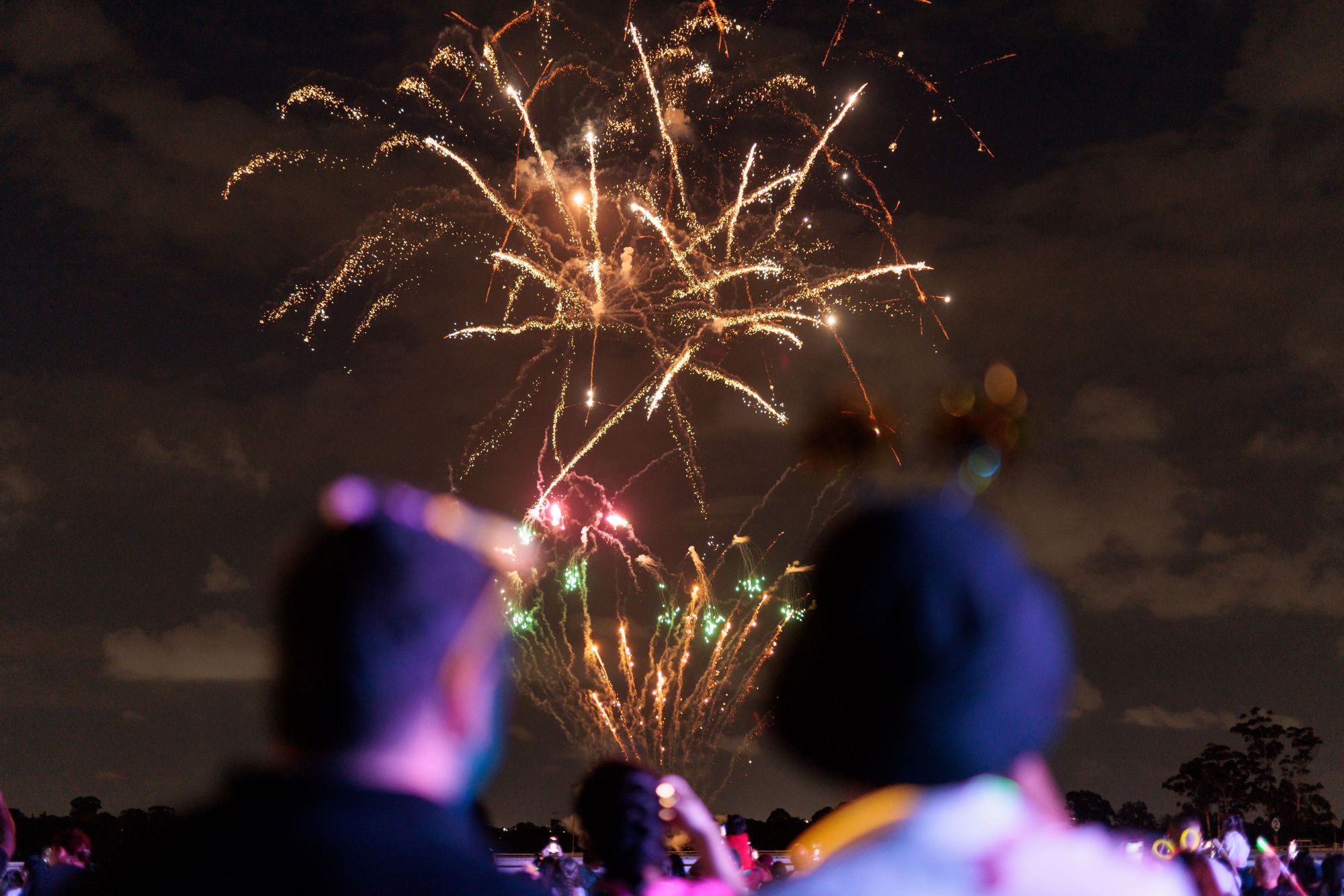 People watch a large fireworks display exploding in golden and green streaks against the dark night sky.