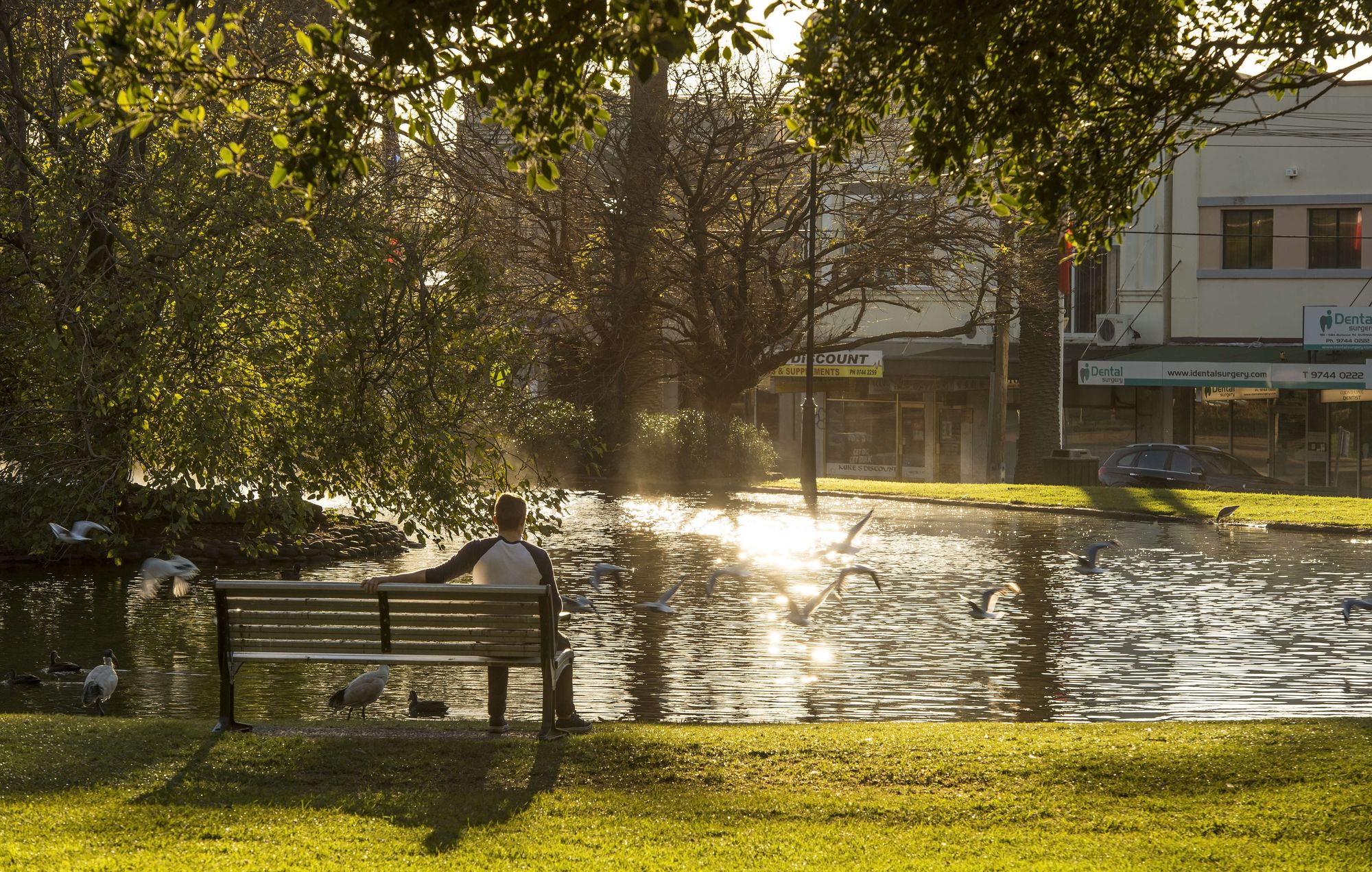 Burwood Park Pond