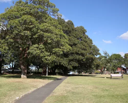 A paved path in a park leads past large, leafy trees, with a wooden bench on the grass. A clear blue sky is overhead.