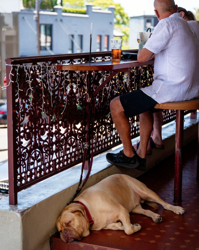 People are sitting on the verandah at The London Hotel enjoying a drink. There is a dog having a nap on the floor next to its owner.