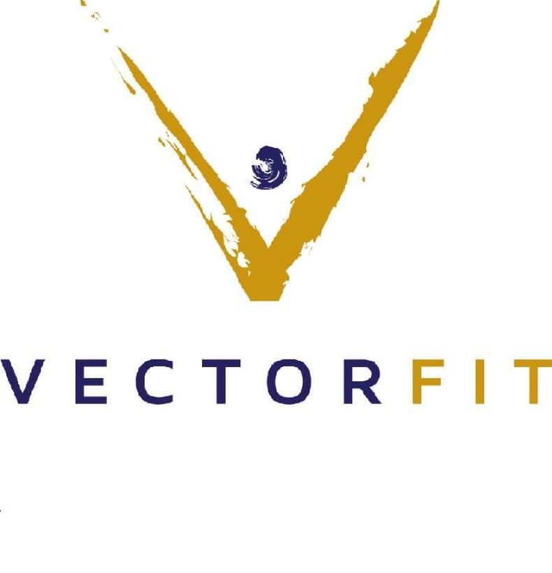 VectorFit logo