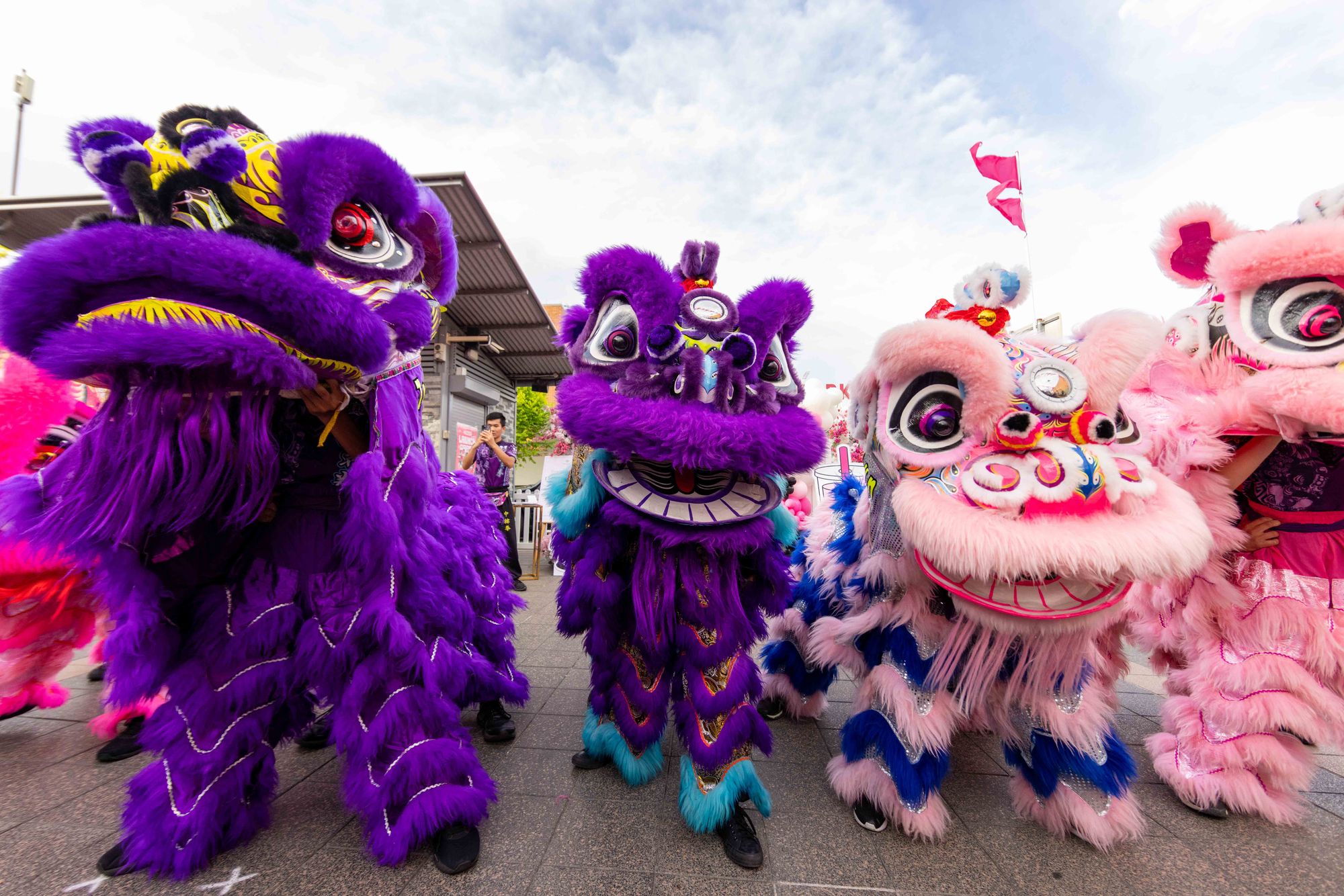 Lion Dance Performance at The Canleys