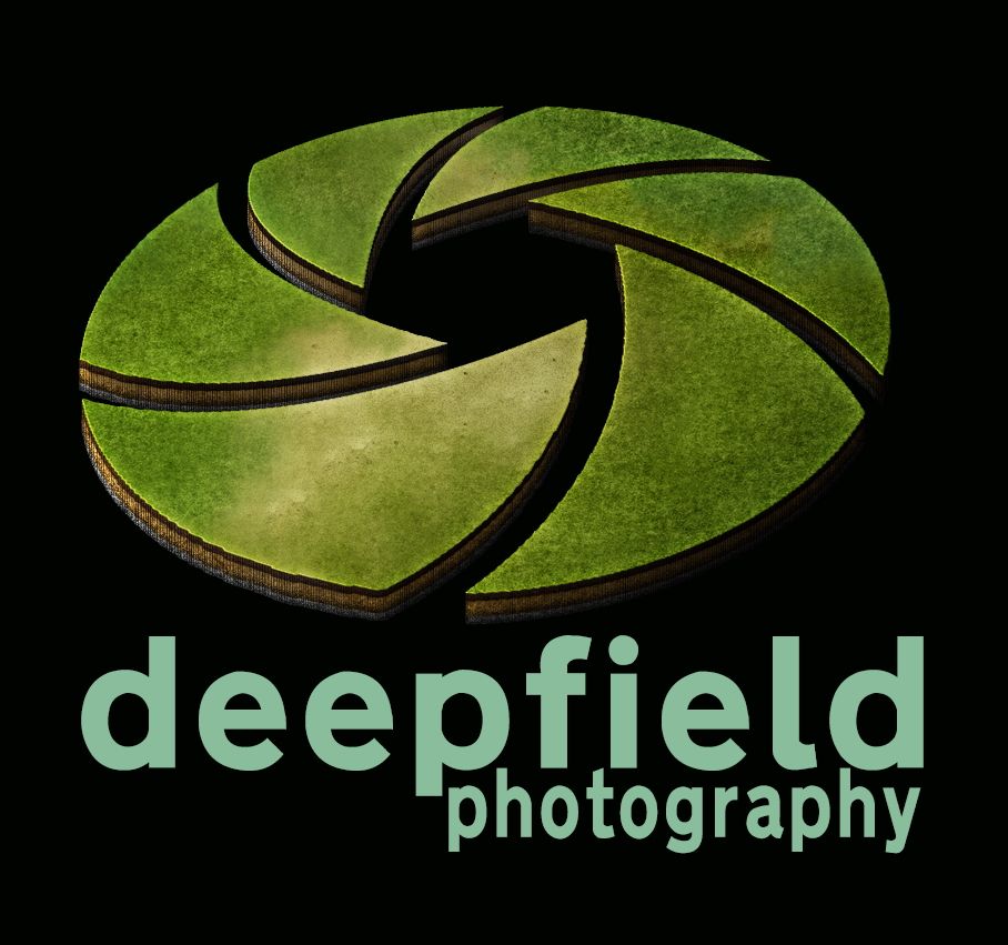 Deep Field Photography logo