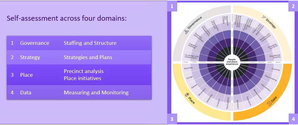 Diagram of self-assessment in four domains: Governance, Strategy, Place, and Data, with a detailed circular chart on the right.