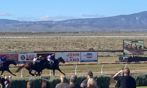 Steamatic Australia sponsored the Port Augusta races