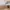 Flatpax woodgrain kitchen