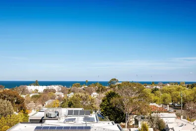 A coastal suburb viewed from above, showcasing a dense arrangement of green trees interspersed with rooftops. In the background, the expansive ocean stretches under a clear blue sky, merging seamlessly into the horizon.