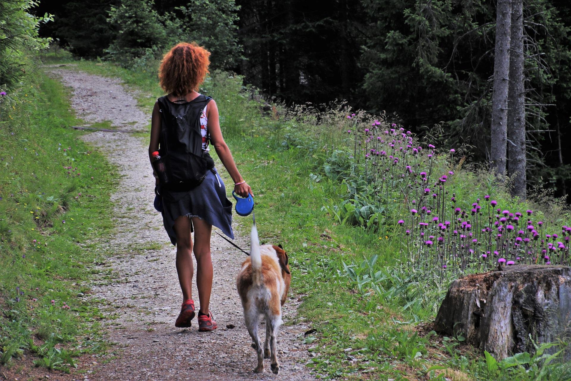 Spaziergängerin mit Hund am Großensee in der Nähe von Hamburg