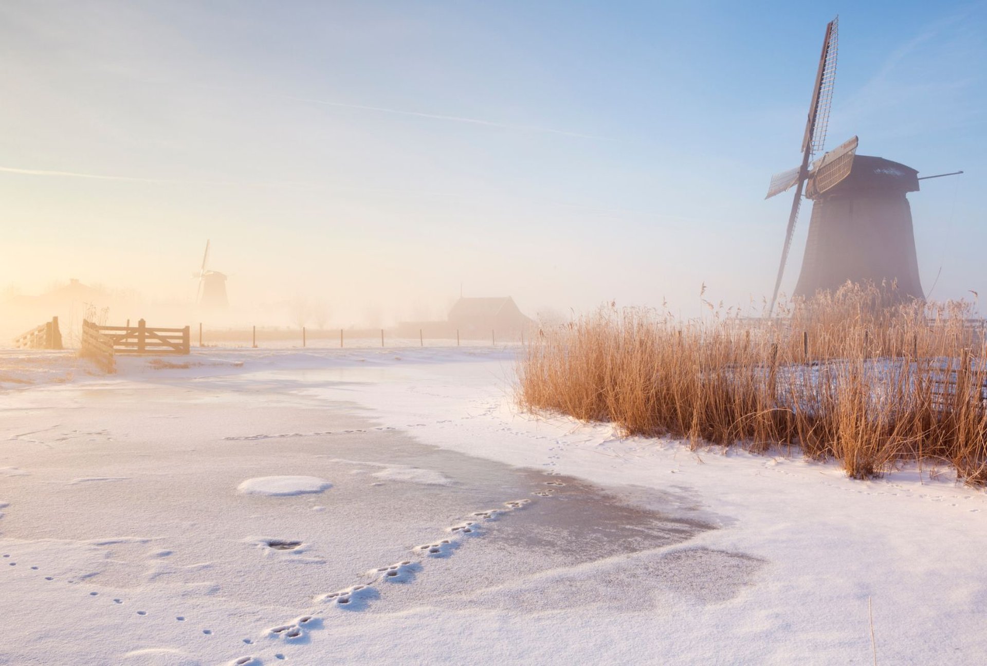 Rotterdam Winter