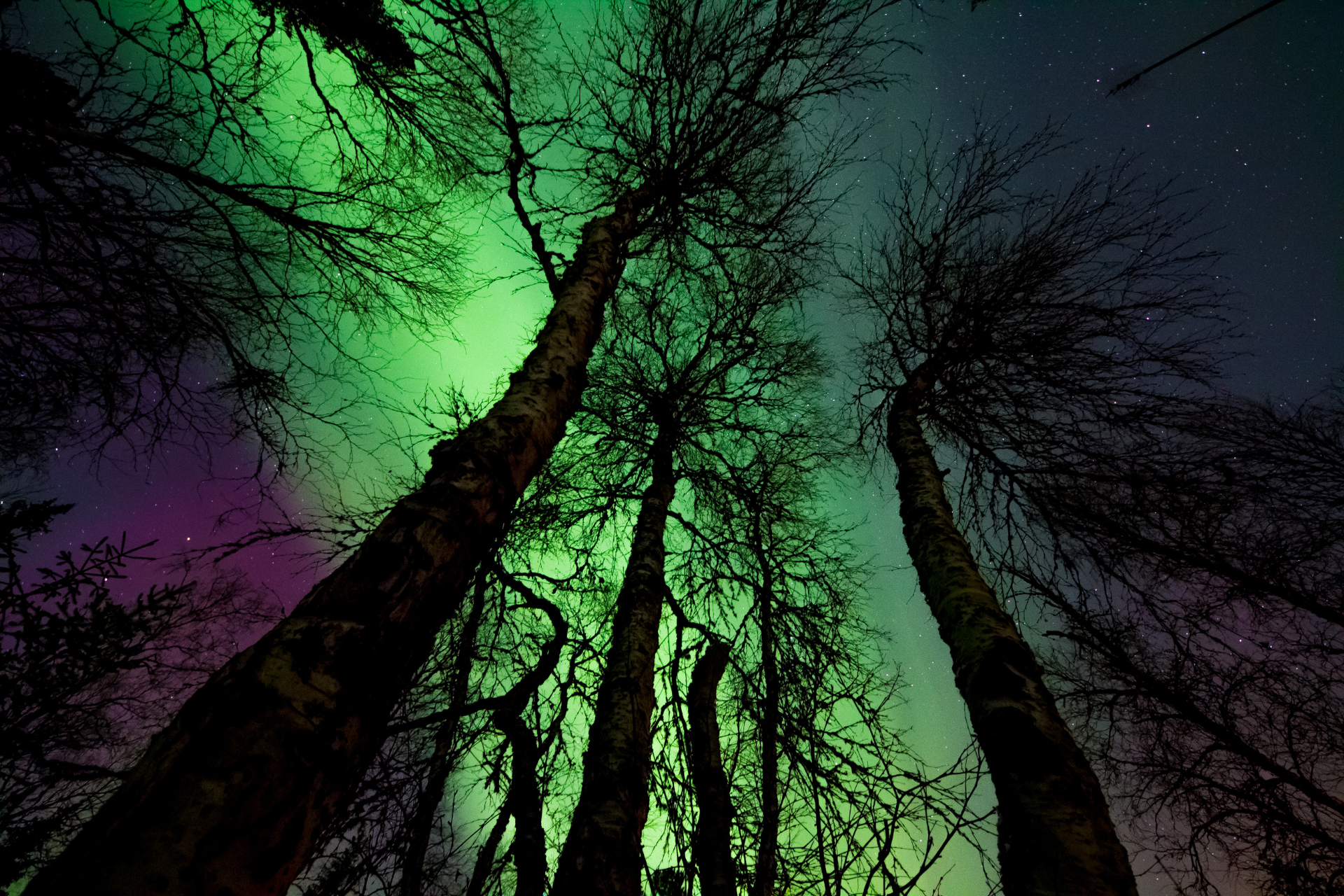 Die besten Orte für Polarlichter in Deutschland: Aurora Index