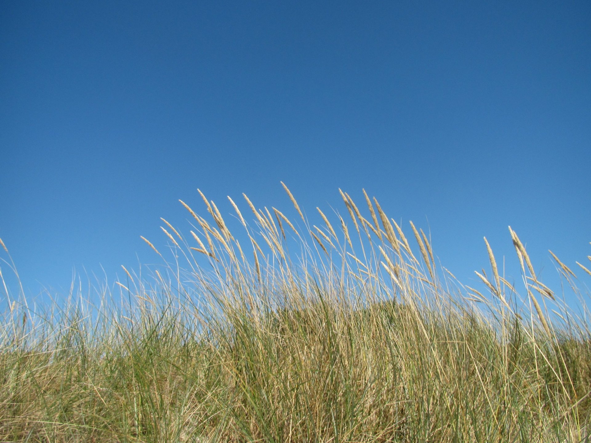 camping fehmarn