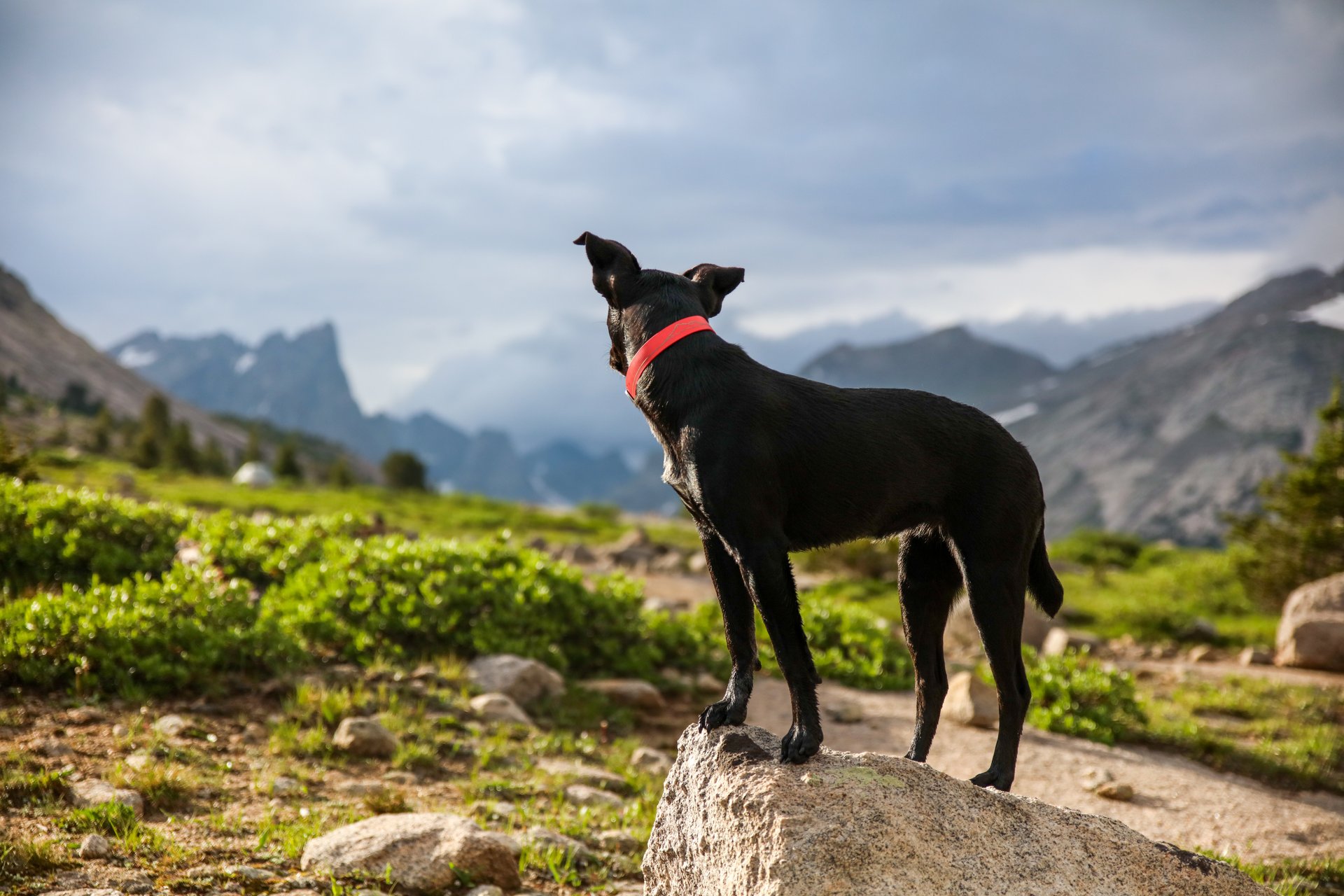 Urlaub mit Hund Italien